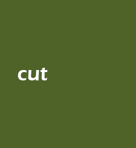 Cut