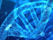 Engineering with PCR Technology