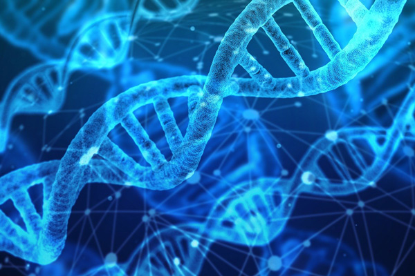 Engineering with PCR Technology